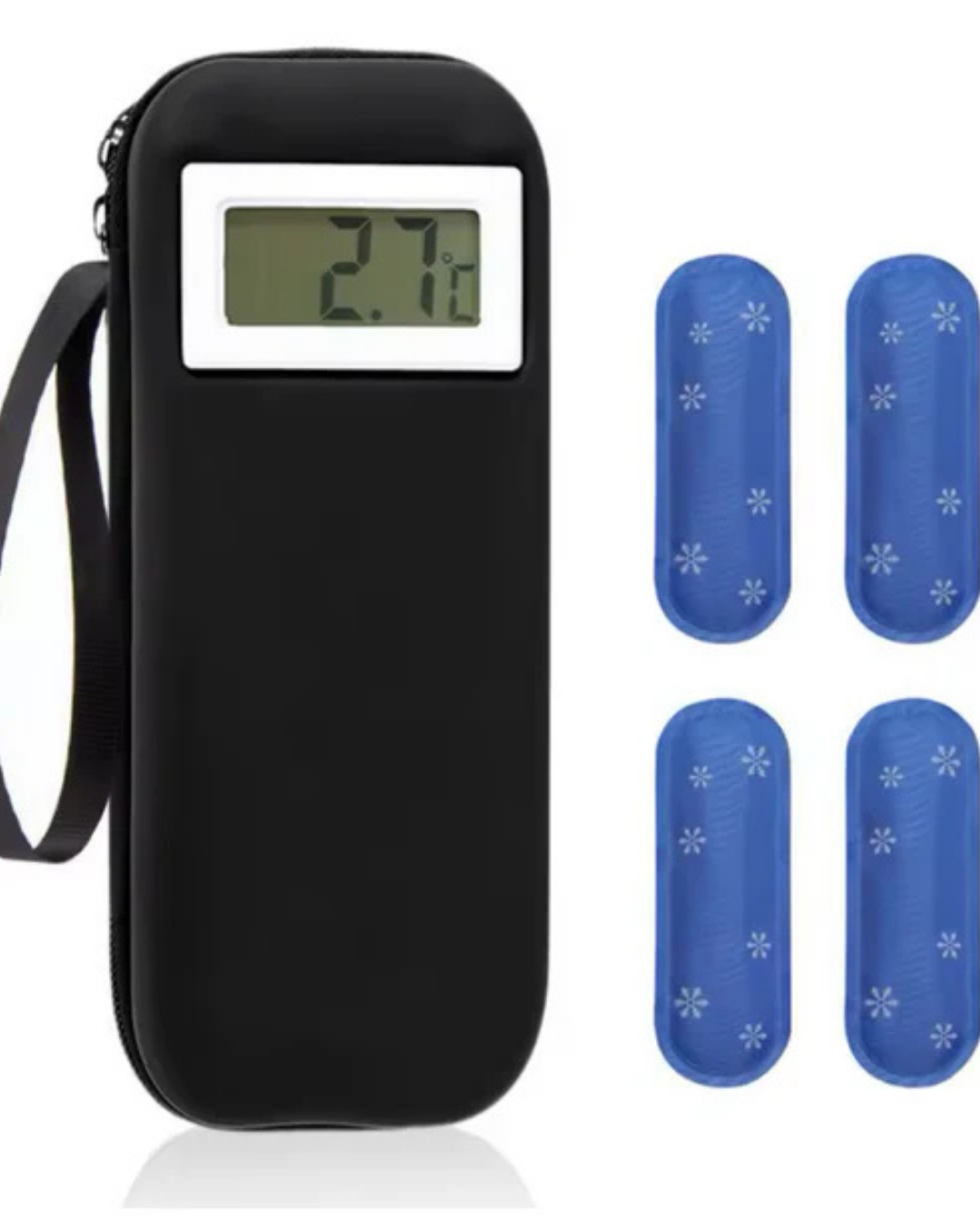 GUARDIAN- İnsülin Taşıma ve Soğutma Kiti